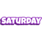 T2. Saturday - Single Day Ticket